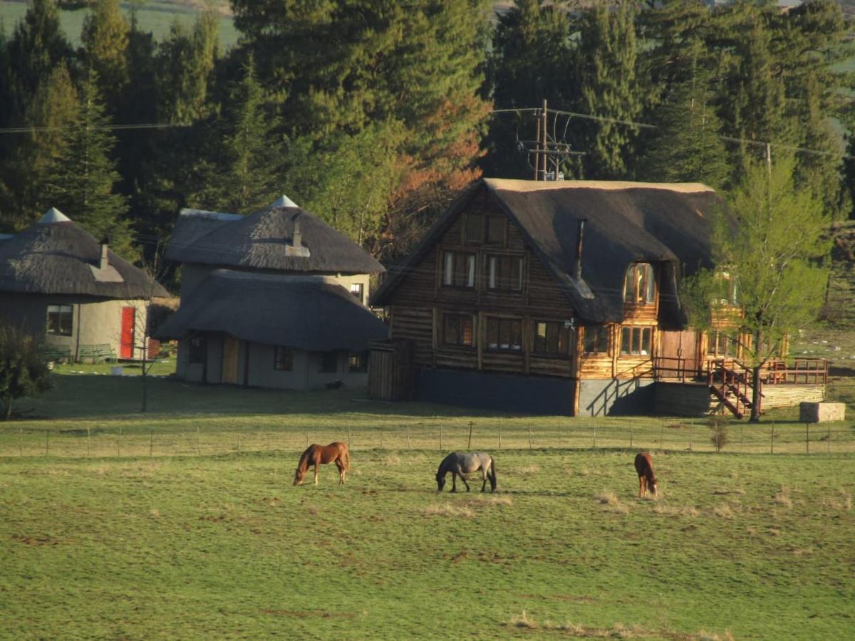 Khotso Lodge & Horse Trails Underberg Exteriör bild