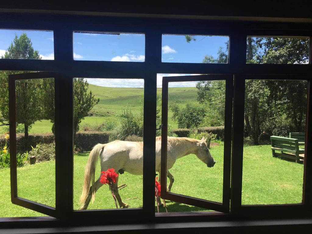 Khotso Lodge & Horse Trails Underberg Exteriör bild