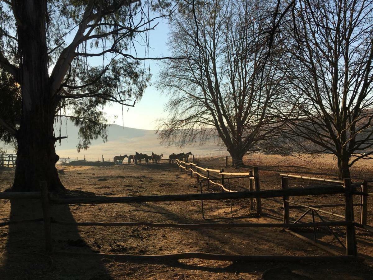 Khotso Lodge & Horse Trails Underberg Exteriör bild