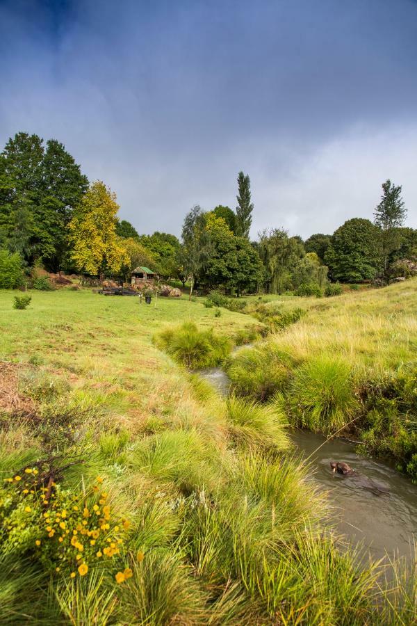 Khotso Lodge & Horse Trails Underberg Exteriör bild